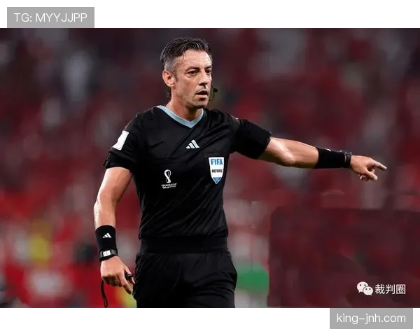 外物入场干扰比赛，裁判该如何判罚？